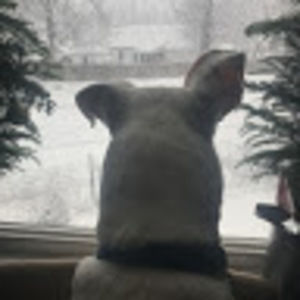 Meet your Posher, Barb